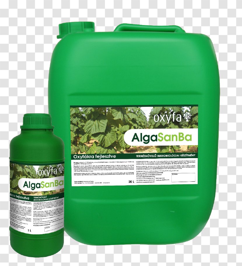 Oxytree Plant Trunk Algae Nutrient Transparent PNG