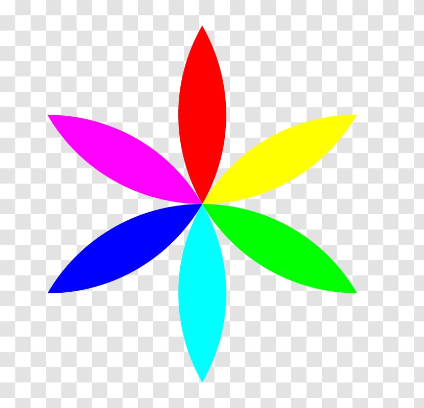 Color Flower Clip Art - Symmetry - Texas Longhorn Clipart Transparent PNG