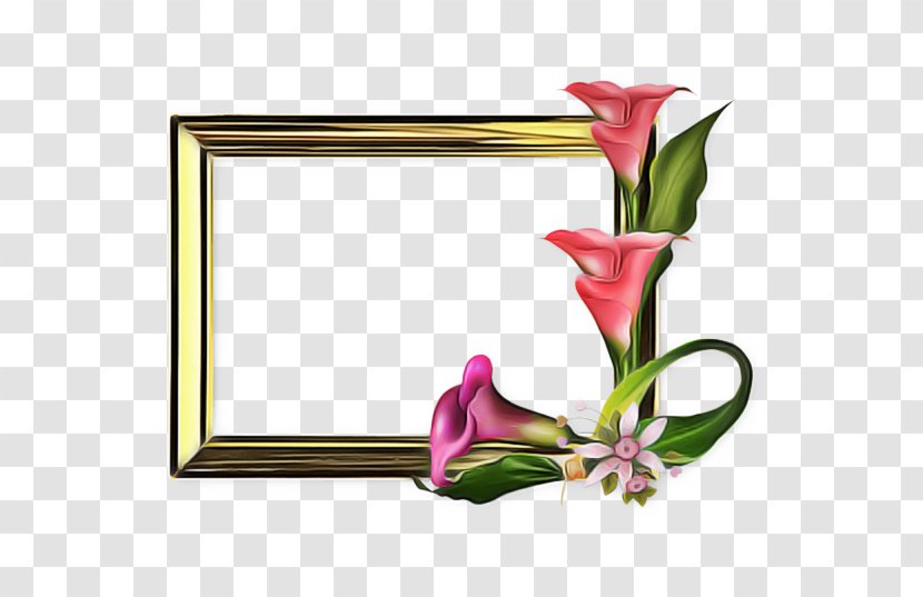 Background Flower Frame - Pink - Vase Tulip Transparent PNG