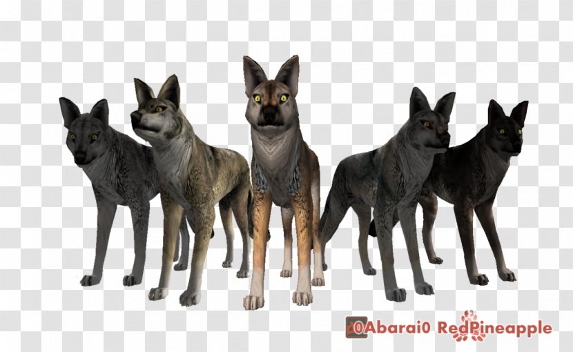 WolfQuest Gray Wolf Video Game World Of Warcraft - Do The Old Texture Transparent PNG