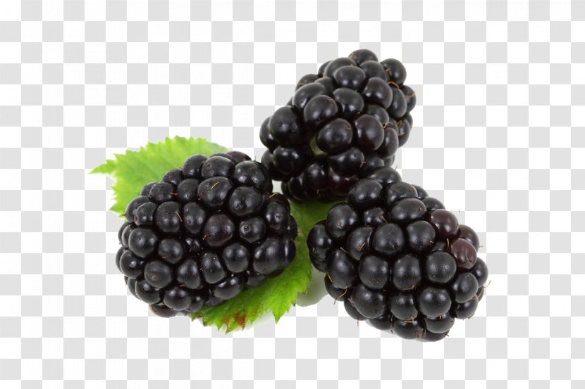Juice Frutti Di Bosco Blackberry Fruit Blueberry - Superfood - Black Grapes Transparent PNG