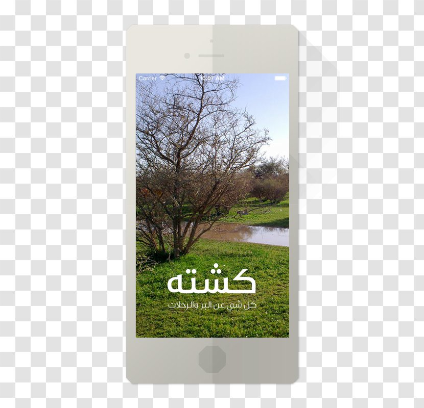 Energy Stock Photography Brand Sky Plc - Meadow - Muslim Prayer Guide Transparent PNG