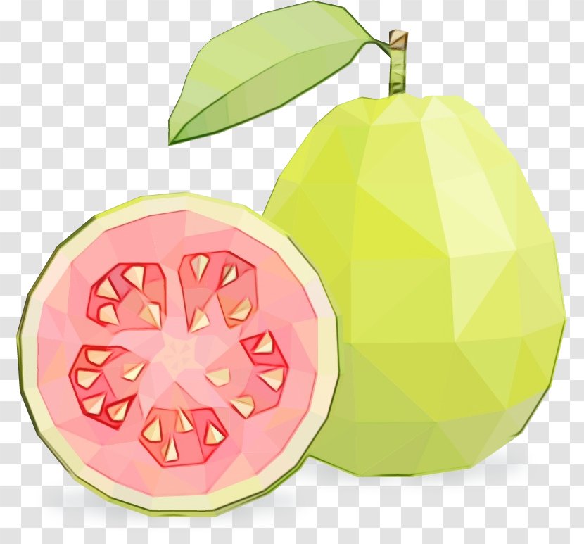 Fruit Plant Guava Leaf Food - Watercolor - Citrus Tree Transparent PNG