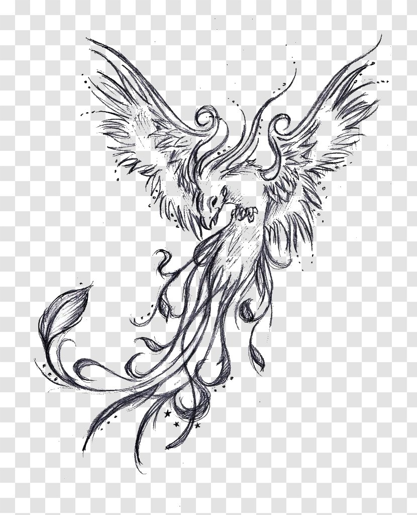 Phoenix Sleeve Tattoo Drawing Legendary Creature - Bird Transparent PNG
