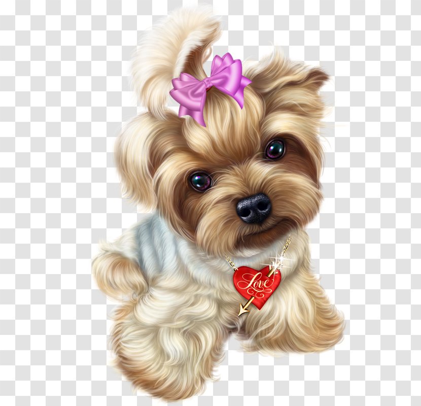 Cat Puppy Yorkshire Terrier - Dog Breed Transparent PNG