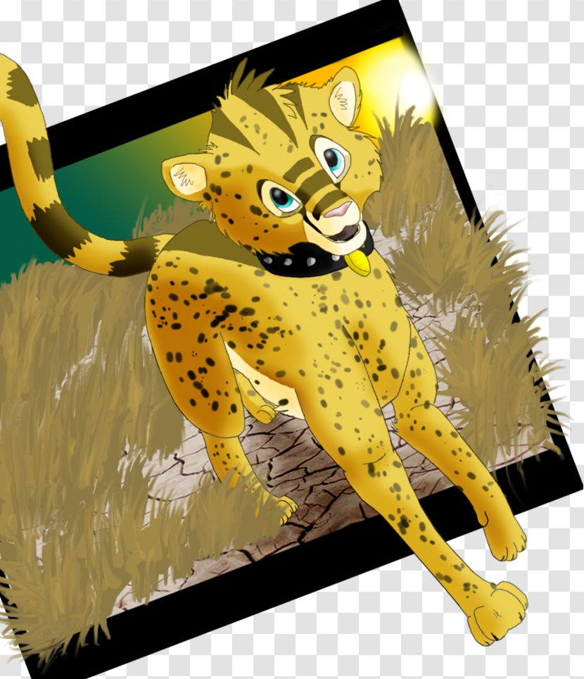Cat Mammal Carnivora Animal Fauna - Cheetah Transparent PNG