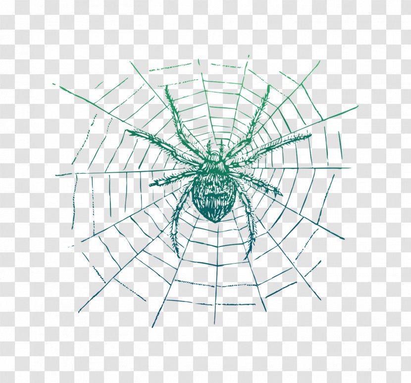 Spider-Man Spider Web Spiders & Insects Black House - Widow - Diagram Transparent PNG