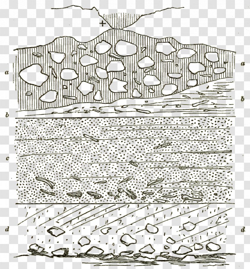 Line Art Drawing /m/02csf Tree Point - Black And White - London Debating Societies Transparent PNG