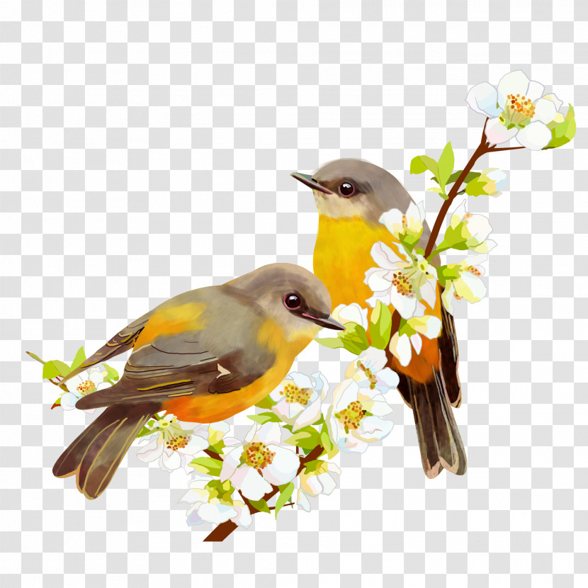 Bird Branch Songbird Beak Yellow Breasted Chat Transparent PNG