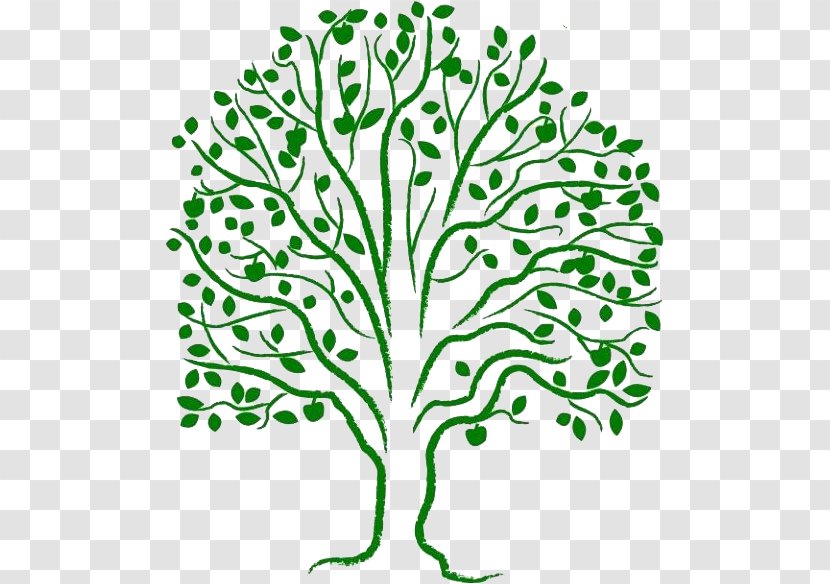 Methodism Uniting Church In Australia Woman United Nations - Plant Stem - Tree Of Life Transparent PNG
