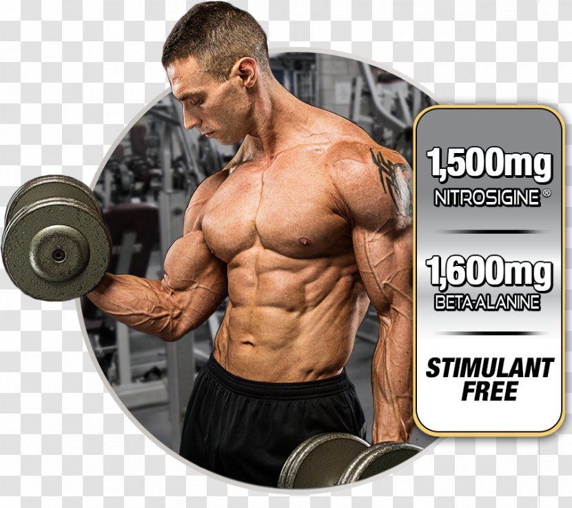 Dietary Supplement MuscleTech Bodybuilding Nitric Oxide Anabolic Steroid - Flower - Vein In Kind Transparent PNG