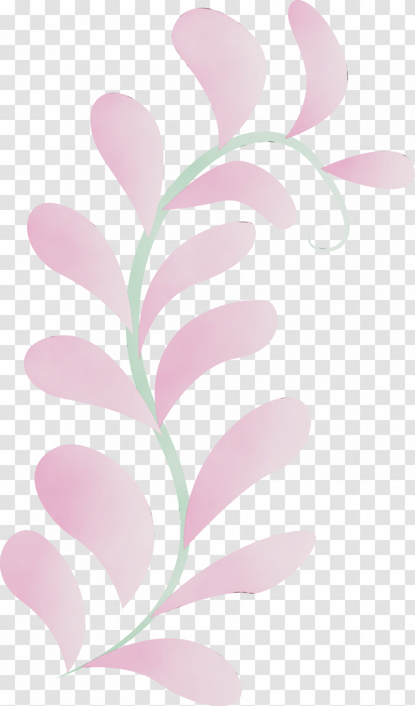 Petal Pattern Pink M Meter M Transparent PNG