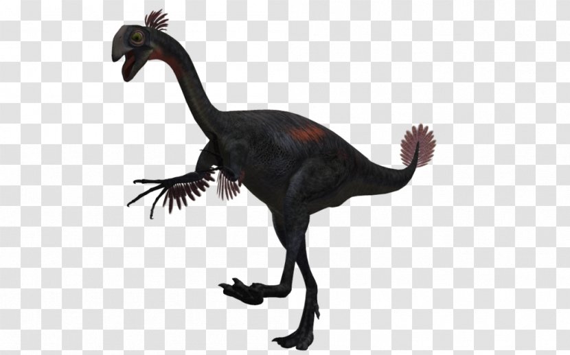 Velociraptor Animal - Tail - Gigantoraptor Transparent PNG