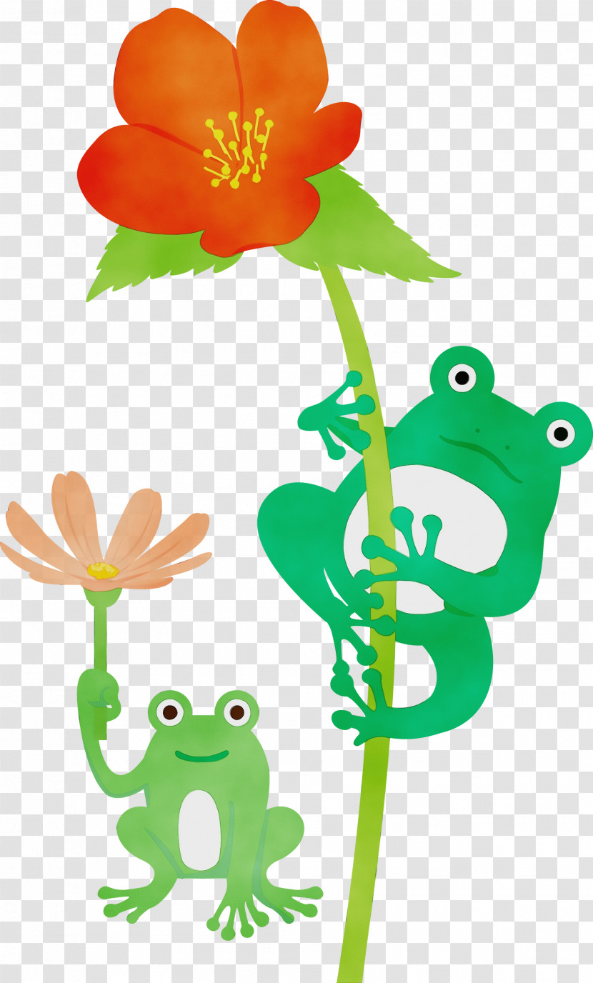 Flower Frogs Plant Stem Tree Frog Petal Transparent PNG
