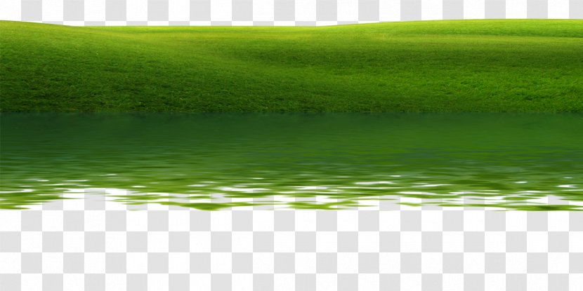Water Resources Lawn Meadow Green Wallpaper - Energy - Waterside Meadows Transparent PNG
