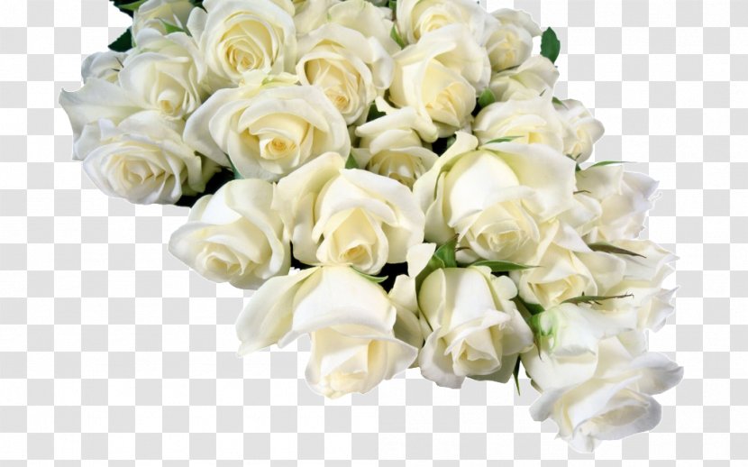 Flower Bouquet Garden Roses Cut Flowers - Cabbage Rose Transparent PNG