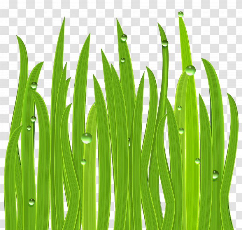 Icon Clip Art - Tree - Grass Decor Clipart Image Transparent PNG