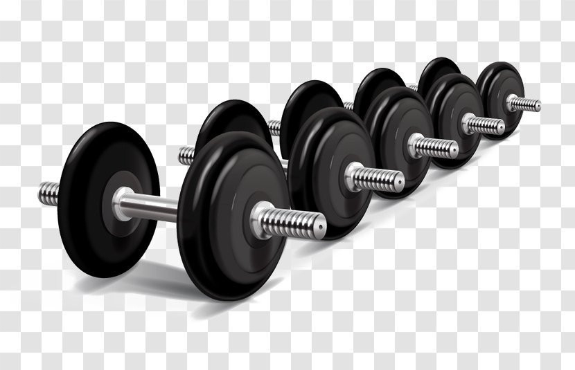 Weight Training Physical Exercise Machine Olympic Weightlifting - Textured Dumbbell Element Transparent PNG