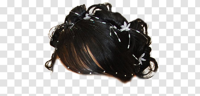 Capelli Teofipol Wig Hair Tie Hairstyle - Fashion Accessory Transparent PNG