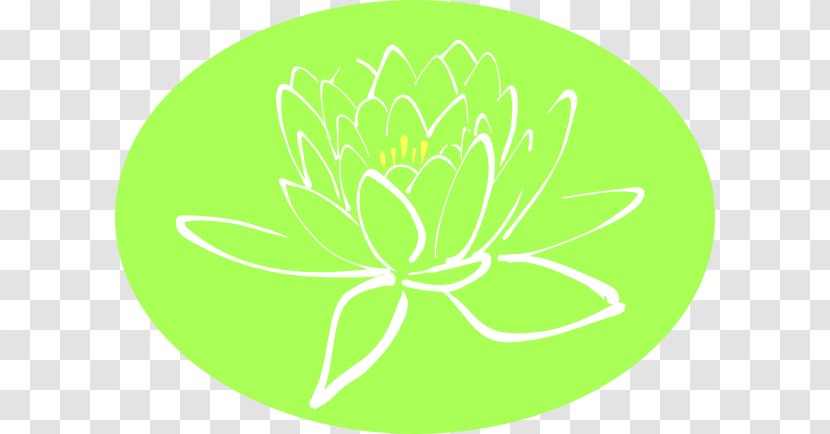 Clip Art Petal Flower Trefoil Sacred Lotus - Organism - White Branch Transparent PNG