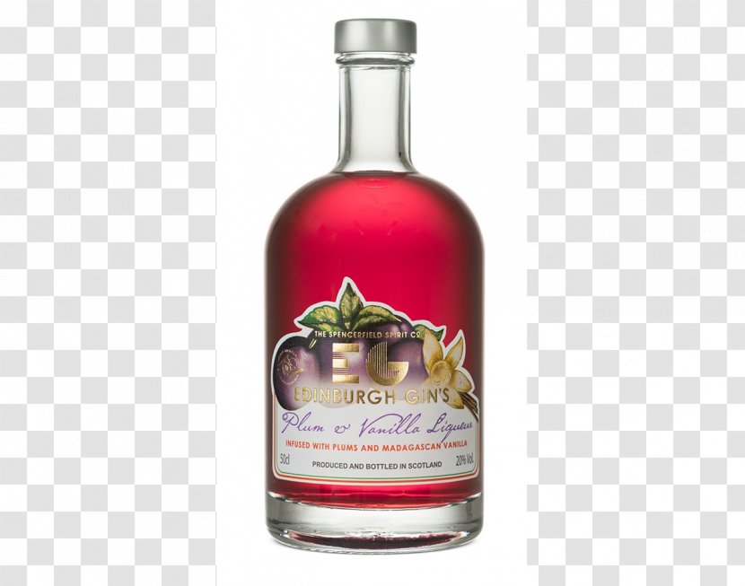 Gin And Tonic Distilled Beverage Elderflower Cordial Liqueur - Wine Transparent PNG