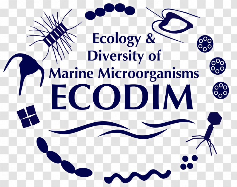 Marine Microorganism Research Ecology - Blue - International Day For Biological Diversity Transparent PNG