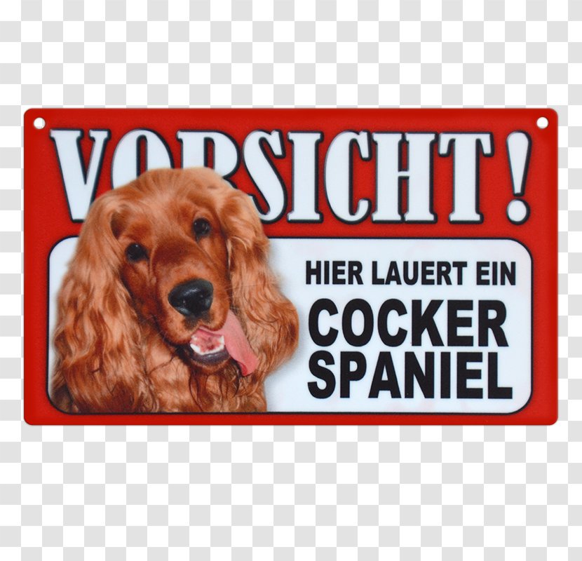 Irish Setter Dog Breed Puppy Yorkshire Terrier Companion - Cocker Spaniel Transparent PNG