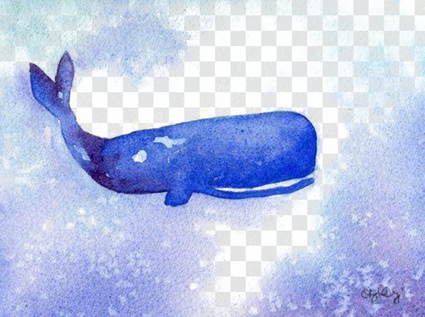 Whale Illustration - Sea - Deep-sea Picture Material Transparent PNG