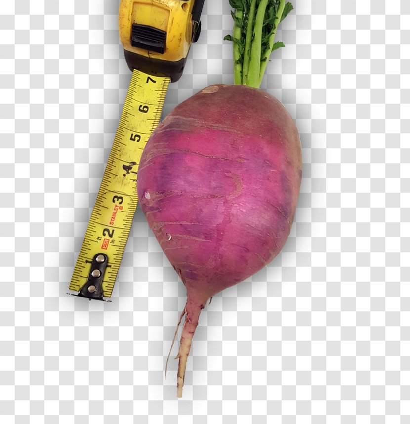 Beetroot Vegetable Turnip Food Radish - Purple - Mosaic Fruit Transparent PNG