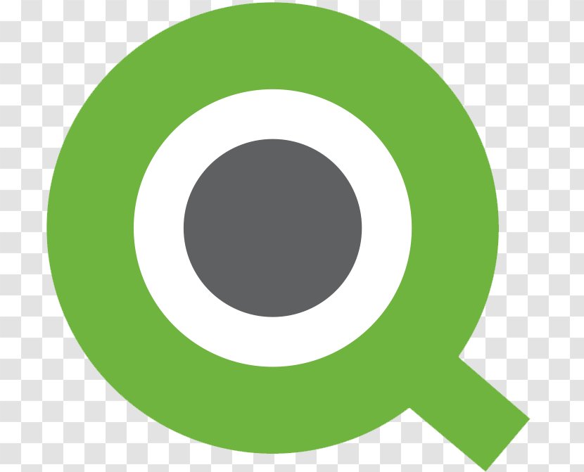 Qlik Business Intelligence Software Dashboard Logo - Company - Brand Transparent PNG