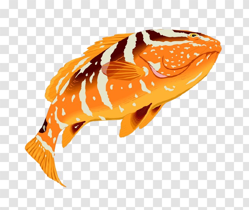 Grouper Fish Clip Art - Tropical - Colored Transparent PNG