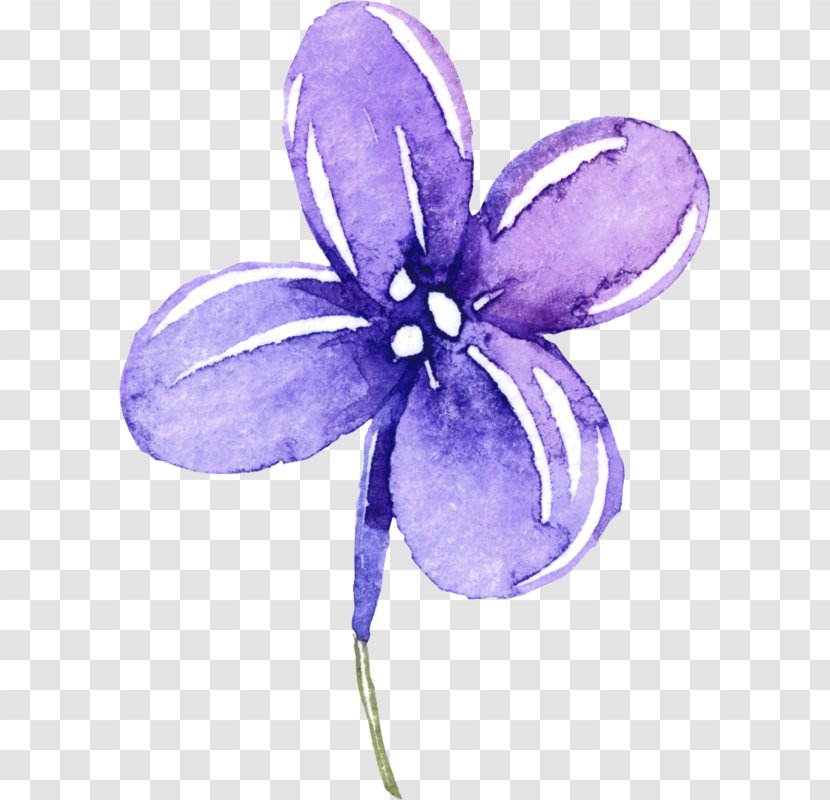 Clip Art Image Vector Graphics Violet - Purple Flowers Bunny Transparent PNG