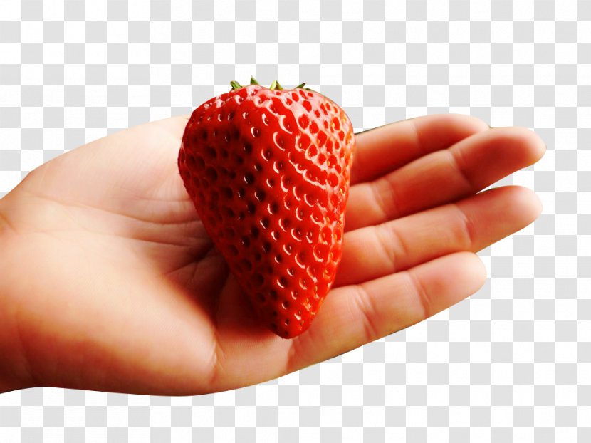 Strawberry Aedmaasikas Food - Diet - Hand Picking Picture Material Transparent PNG