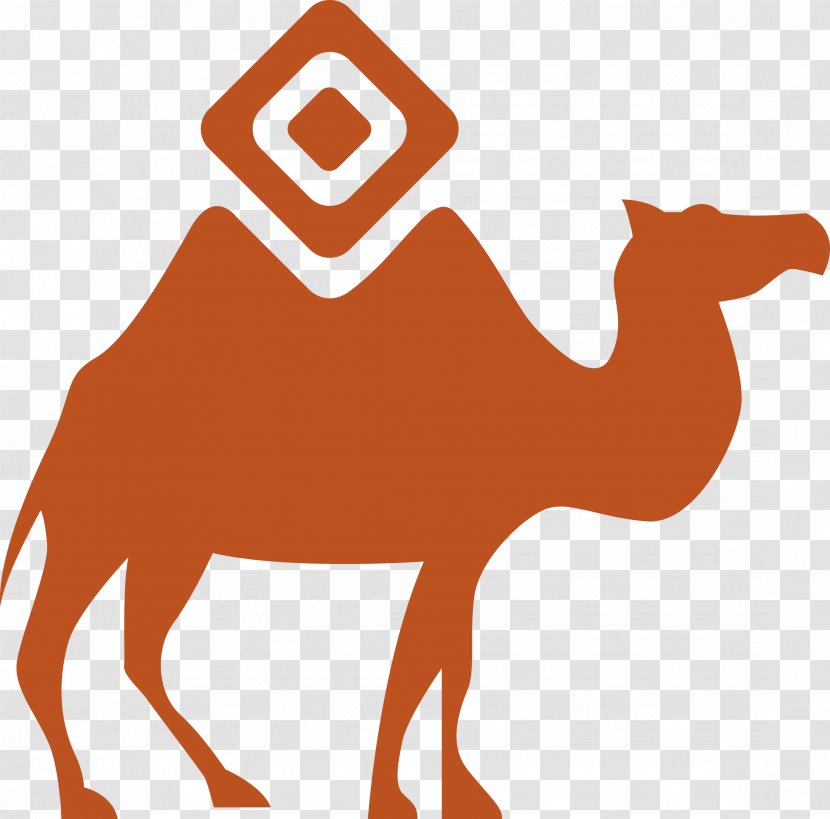 Chengdu Marketing Sohu Advertising Product - Camel Like Mammal - Face Animated Transparent PNG
