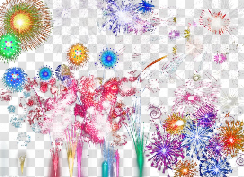 Floral Design Fireworks Download - Flower - Color Gorgeous Transparent PNG