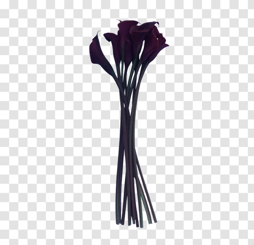 Flower Vase - Plant Transparent PNG