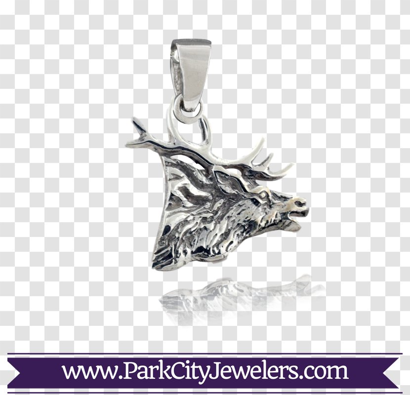 Earring Jewellery Charms & Pendants Necklace Locket - Banner Elk Ski Transparent PNG