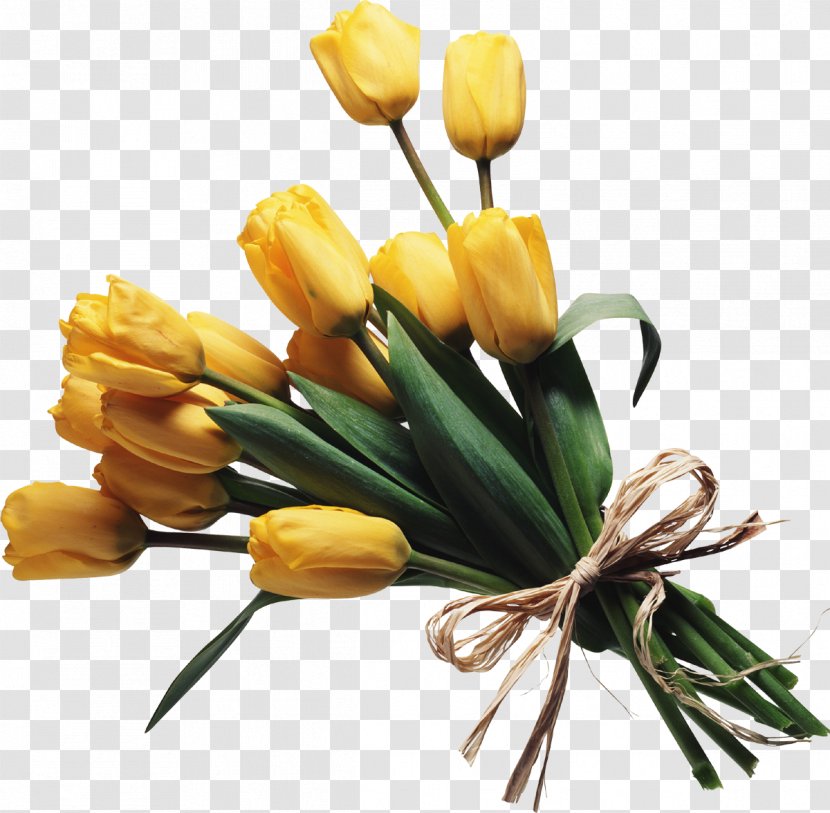 Flower Bouquet Cut Flowers Rose - Yellow Transparent PNG