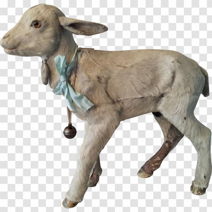 Sheep Goat Cattle Terrestrial Animal - Like Mammal Transparent PNG