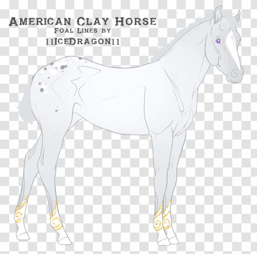 Mustang Stallion Foal Colt Mare - Halter Transparent PNG