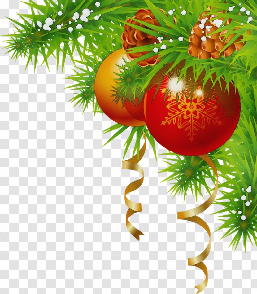 Christmas Ornament - Holiday - Colorado Spruce Transparent PNG