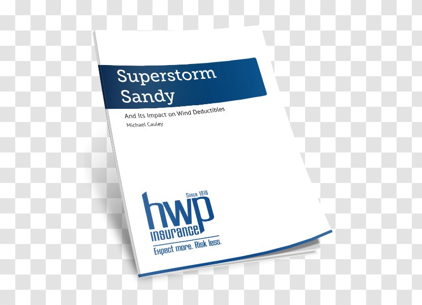 Brand Logo Font - Wind Storm Transparent PNG