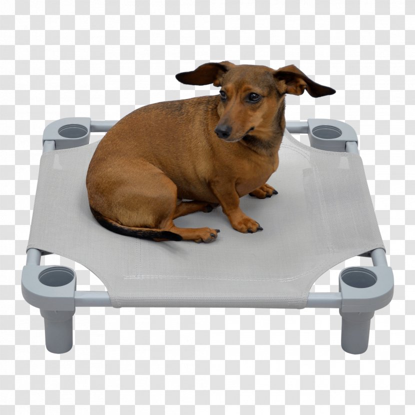 Dog Breed Puppy Snout Bed - Furniture - Pvc Coated Hardware Cloth Transparent PNG