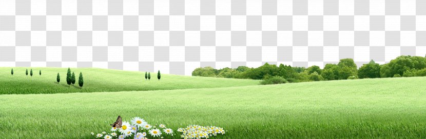 Flowers And Grass Elements - Brand - Land Lot Transparent PNG