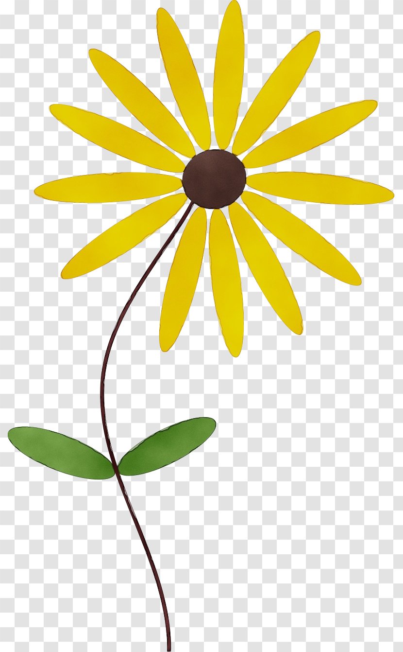 Yellow Flower Plant Black-eyed Susan Petal - Chamomile Leaf Transparent PNG