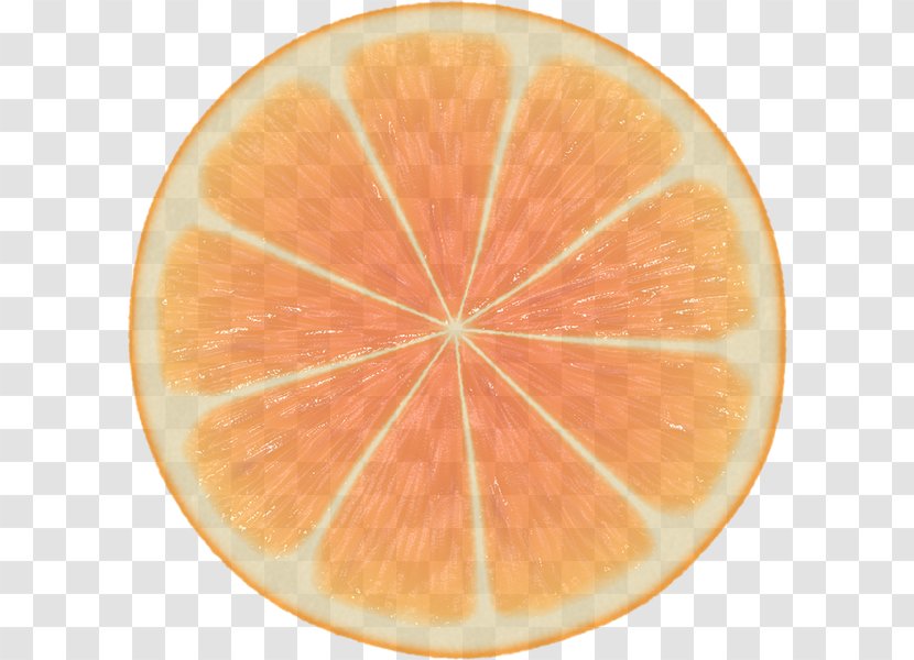 Orange - Rangpur - Plant Lemon Transparent PNG