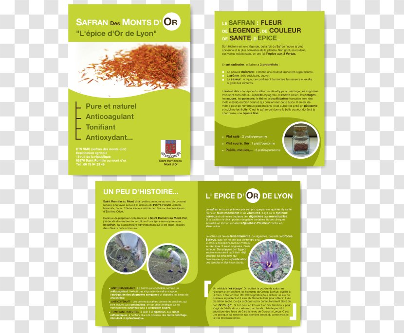 Brochure Corporate Design Information Graphic Text - Saffron - Safran Transparent PNG