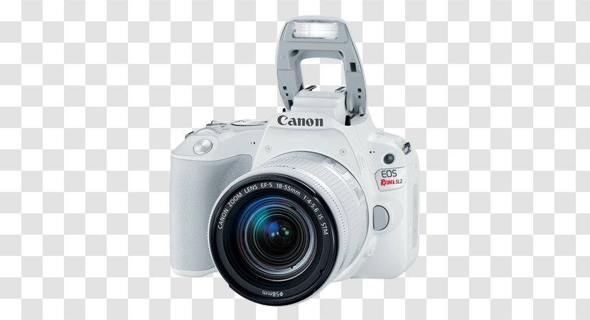 Canon EOS 200D 77D Eos Rebel SL2 DSLR Camera With 18-55mm + 75-300mm Dual Zoom Lens Kit Pro Bundle Digital SLR EF-S 18–55mm Transparent PNG