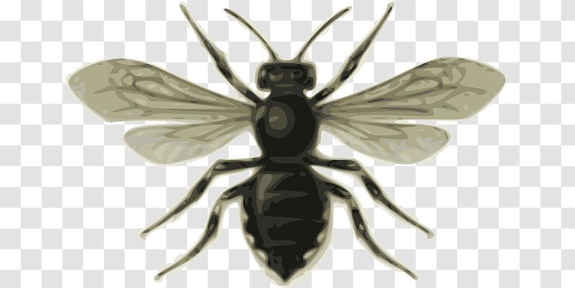 Bee Insect Clip Art - Bumblebee - Black And White Transparent PNG