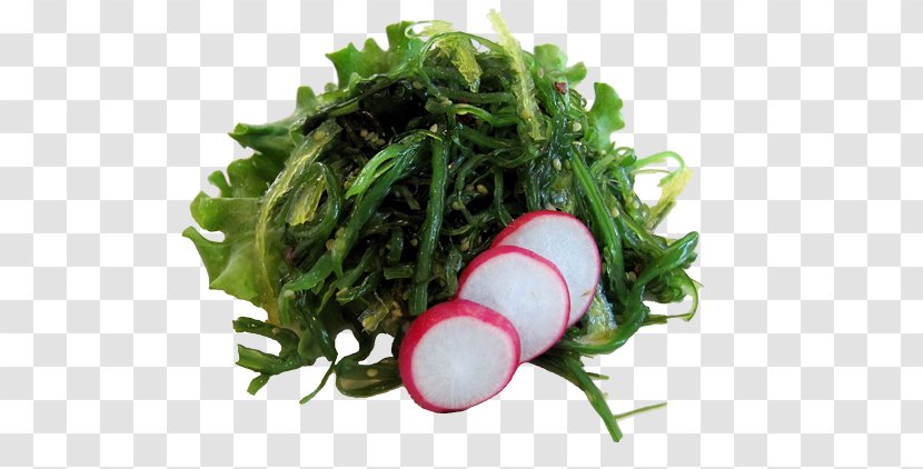 Kelp Edible Seaweed Wakame Algae - Ingredient - Health Transparent PNG